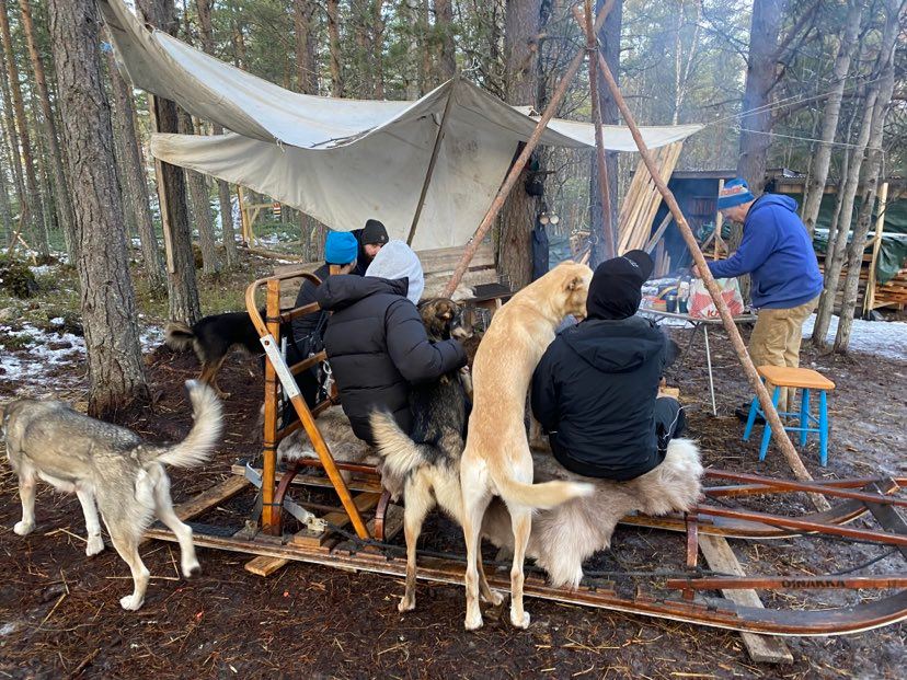 Grupp vid eldstad med hundar